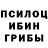 Псилоцибиновые грибы Psilocybine cubensis Karins Davidova