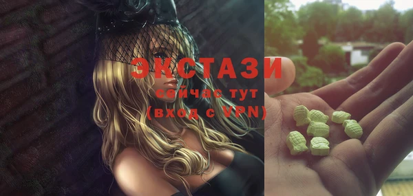 ECSTASY Богородицк