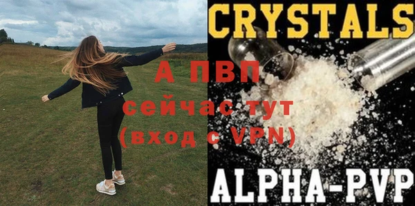 крисы Бугульма