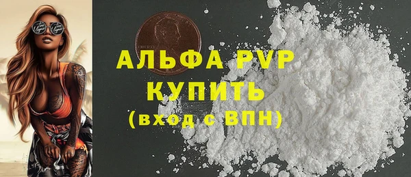 ECSTASY Богородицк