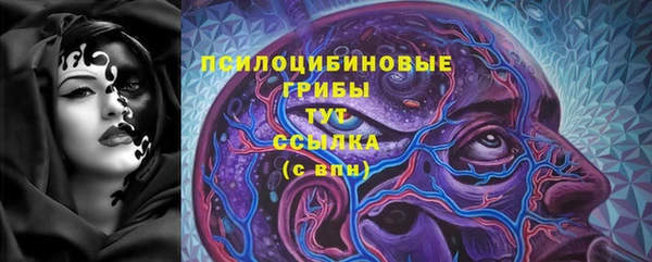 ECSTASY Богородицк