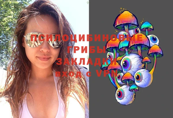 ECSTASY Богородицк